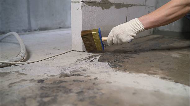 SJ Waterproofing Pros Emergency Waterproofing coverage map for Fall Branch, TN and surrounding area